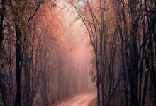 记者：伊尼戈、卡萨多右膝不适，原则上将退出本期国家队.