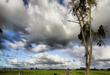 蜂鸟电竞官网：对葡萄牙U破门，恩瓦内里是英格兰U队史第年轻进球者.