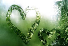 蜂鸟电竞官网：皇马球员国际比赛日出场时间：姆巴佩、楚阿梅尼踢满210分钟.