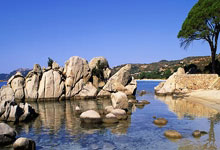 [高尔夫]捷尼赛思邀请赛首轮麦卡锡领先 舍夫勒T4小麦T14.